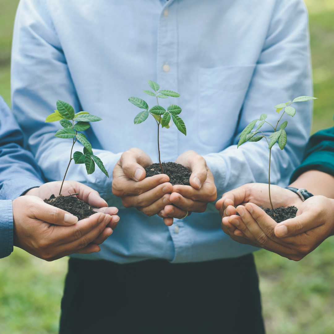 Le Comunità Energetiche, un nuovo orizzonte per una società più sostenibile